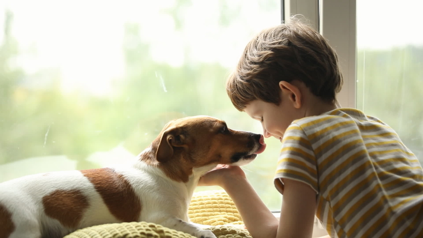 Cute child kisses his dog friend in nose.
