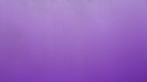 Purple ink acrylic paint mixing in water, swirling softly underwater. Colored violet acrylic cloud paint in aquarium. Slow motion abstract smoke explosion animation. Beautiful art background