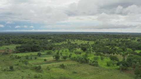 Aerial view Paraguayan landscape. Cows grazing beautiful nature and forests on the plain in Latin America.