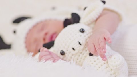 Close up hand of happy newborn baby wearing cute cow costume lying sleep hugging cow doll on white background comfortable and safety.Cute Asian infant sleeping and napping on baby bed