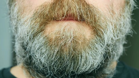 man with the wild reddish-gray beard talks a lot. The bearded man is praying. A man with a disheveled beard whispers something terribly. Scary quiet whisper of a man. Horror. Close-up