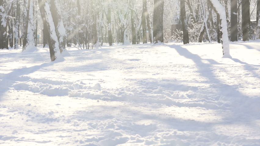 girl plays with the corgi dog during the winter walking
