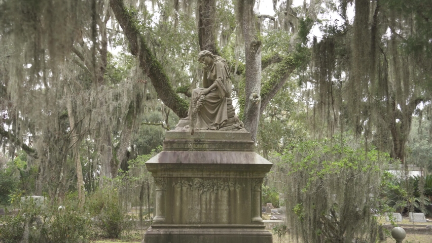 Savannah cemetery Stock Video Footage - 4K and HD Video Clips ...