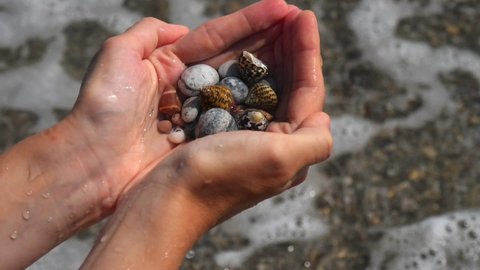 Small seashells lie on female hands against background of sea, water, waves, sea foam. Woman holds in hands full handful of small seashells, close-up. Concept of vacation, holidays. Slow motion video.