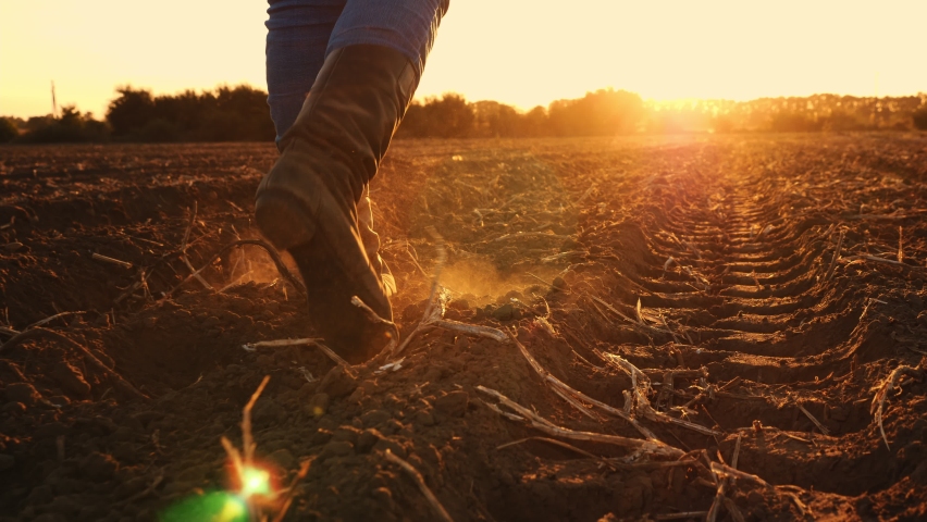 farmer in boots walks across the field. close-up. legs in farming boots. freshly plowed agricultural field. at sunset. backlit. Bottom view Royalty-Free Stock Footage #1084932469