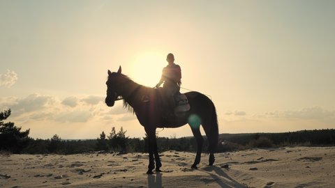 Horse riding. Horse love. Silhouette of horsewoman, riding a horse on top of a sandy hill overlooking the pine forest, at sunset, in warm summer sun rays. backlight.