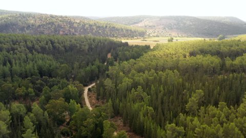 Aerial Forward Beautiful Shot Of Green Trees In Forest - Beit Guvrin, Israel