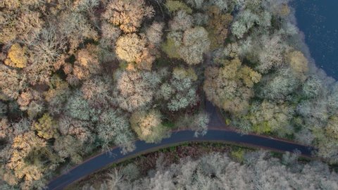 Drone footage of sunrise over a forest canopy in autumn in Loch Lomond National Park in Scotland, UK.