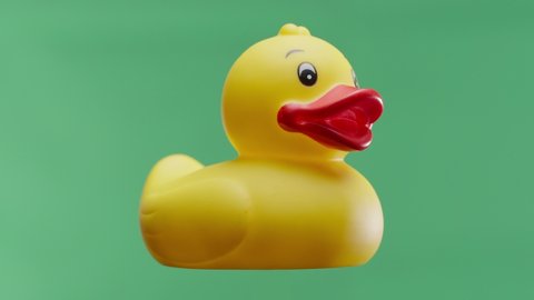 Yellow rubber duck rotating on isolated green background.