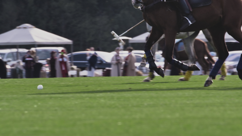 Polo game, slow motion. The players are holding a long-handled wooden mallet. The rider makes a successful kick, dribbles the ball. Two teams are fighting for victory, trying to score a goal Royalty-Free Stock Footage #1084959343