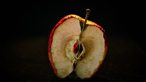 Timelapse rots red apple. The berry turns brown and dry. Time lapse shot, isolated on black background. Fruit quickly become small and wrinkled