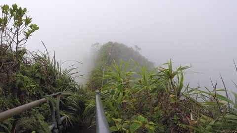 Adventurers climb overgrown ridge top Haiku Stairs in thick fog, Oahu
