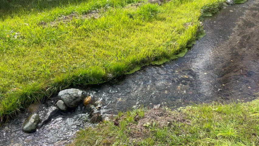 A babbling brook on a summer plateau