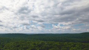 River flowing through the wild forest environment, aerial view. Top panoramic aerial view to the wild forest. Wild nature and landscape from above. Drone flying over the forest. 