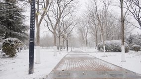 Real video of snow in winter parks in northern China