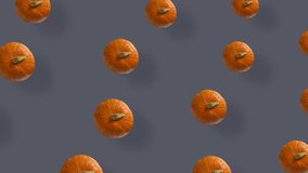 Colorful pattern of fresh orange pumpkins. Top view. Seamless pattern with pumpkin. Pop art design. Realistic animation. 4K video motion
