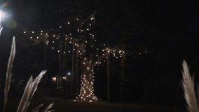Large trunk and branches of green oak is decorated with garlands of white light bulbs. The light bulbs glow beautifully at night and decorate the tree. Festive decor. - Powered by Shutterstock - Get 15% off with code: PIKWIZARD15
