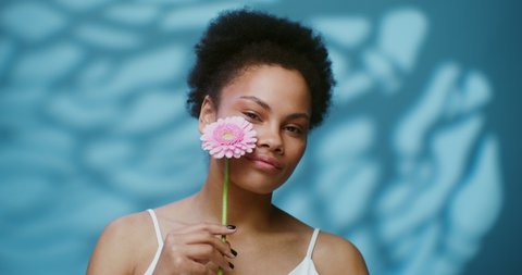 A young African American woman poses for the camera, running a pink gerbera flower along the lines of her face. Studio video filming. 4K video, red komodo