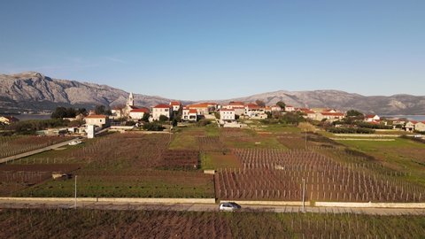 Lumbarda village standing over seaside of Croatia, vineyards on countryside of Korcula island