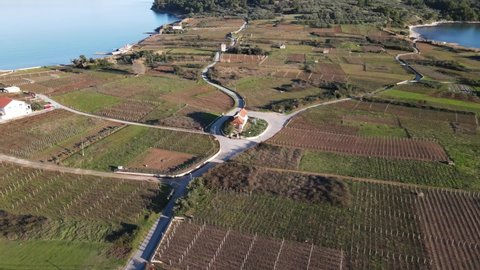 Lumbarda village standing over seaside of Croatia, vineyards on countryside of Korcula island
