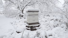 A 4k video of an artificial bee hive covered in snow during a snow storm.