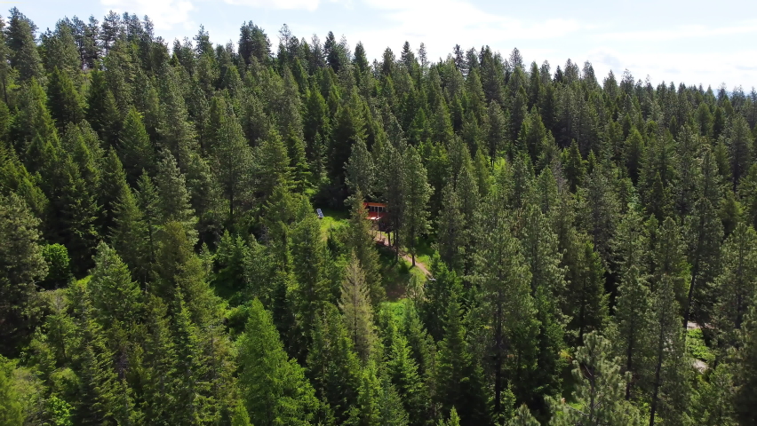 Drone flying over a treehouse in the forest. Camping house in the forest.