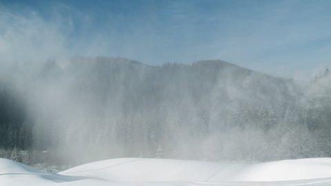Artificial snow falls on background of spruce forest in mountains at ski resort. White snow-covered mountain slope for skiing on sunny frosty day in winter. Working snow cannon, snowgun on blue sky