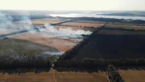 4K footage of a burning wheat field. aerial shooting