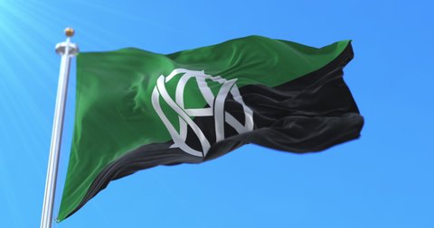Flag of Veganarchism waving at wind, slow. Loop