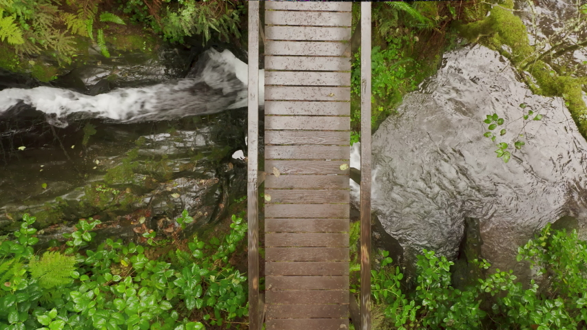 Overhead aerial view young woman walking by wet wooden bridge over small creek river in rain forest with lavish green plants, covered with moss. Cinematic greenery background, travel concept, USA 4K