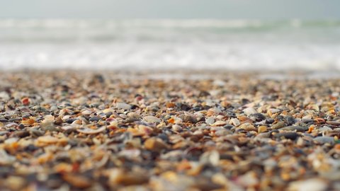 Seashells close-up on the beach. Sea waves and sea foam on the beach. Beach vacation concept. Beach of seashells. Selective focus. 4K video, place for text