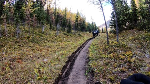 Hiker trekking on rocky mountains trail in autumn forest at Assiniboine provincial park, Canada. POV Shot