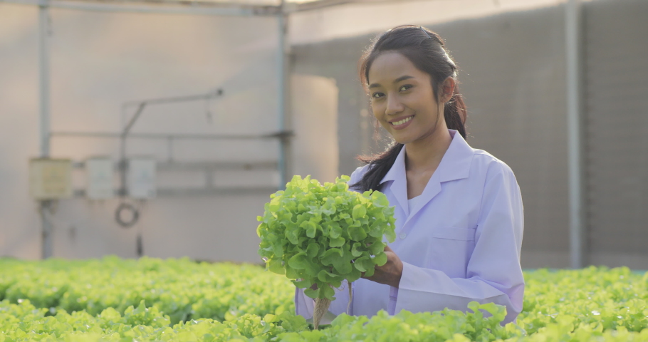 A female scientist looks at the produce in a vegetable garden. She lookin to vegetable with attractive smile.