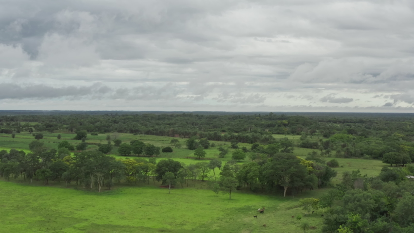 Aerial view nature Paraguay. Farm fields in Paraguay with beautiful trees and forests, fields for grazing cows. Royalty-Free Stock Footage #1085061791