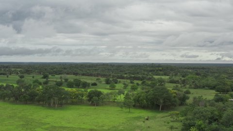 Aerial view nature Paraguay. Farm fields in Paraguay with beautiful trees and forests, fields for grazing cows.