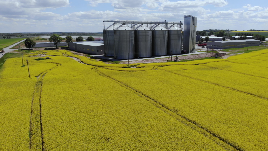 Modern Granary elevator. Silver silos on agro-processing and manufacturing plant for processing drying cleaning storage of agricultural products. Aerial View Landscape Rapeseed Yellow Canola Field.