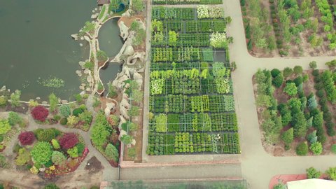 Variety of ornamental trees for purchase and planting in landscaping elements of cottages and parks - aerial drone shot in green Garden center. Private Ornamental Tree Nursery for Landscape Design.