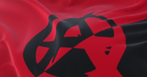 Flag of Anarchism with symbol waving, slow. Loop