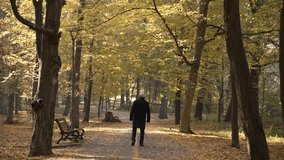 Back view of aged man with white hair walking alone among beautiful autumn landscape of forest park. Lonely old man spending outdoor leisure in nature, care and support for elderly people concept - Powered by Shutterstock - Get 15% off with code: PIKWIZARD15