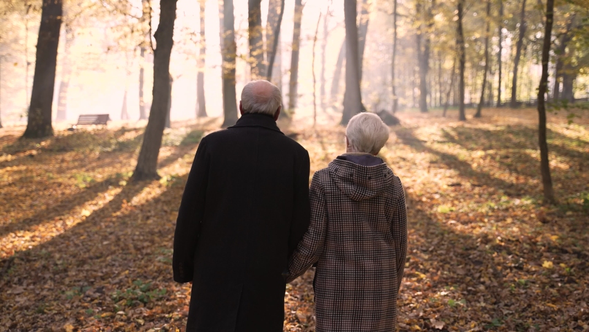 Rear view of aged people with white hair walking holding hands towards bright sun in autumn park. Walking eldery couple is greeted with gentle warm dawn, road to heaven, happiness after death concept Royalty-Free Stock Footage #1085091329