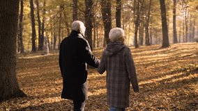 Rear view of aged people with white hair walking holding hands towards bright sun in autumn park. Walking eldery couple is greeted with gentle warm dawn, road to heaven, happiness after death concept - Powered by Shutterstock - Get 15% off with code: PIKWIZARD15