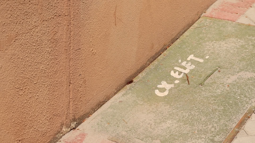 Cockroaches trying to escape from poison. 

Pest control company in Brazil. 

Vídeo made in 07 Jan 2022 