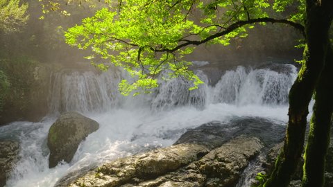 Beautiful nature scene with cascade waterfall and green tree in backlight. Martvili canyon in Georgia. Beautiful natural kanyon near Kutaisi city. Nature landscape. Fresh water flow in slow motion