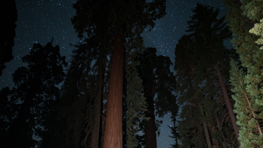 Sequoia  Kings Canyon National Park Startrails General Grant Grove Astrophotography Time Lapse California USA