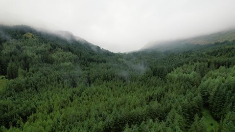 Low hanging clouds between the green forest in the Scottish Wilderness on a foggy morning. Drone dolly shot