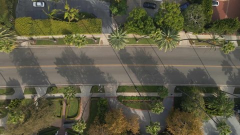 Aerial view of Beverly Hills California, Palm trees and cars passing by