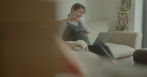 Pregnant Woman Sitting on Sofa with Laptop on Video call with Family and Dog