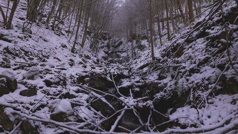 mountain stream in winter in a forest 