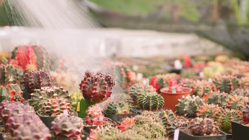 PLANT CARE PROCESS HI RES STOCK PHOTOGRAPHY AND IMAGES visual data 2