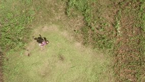 aerial video of a farmer mowing grass on farmland with a gasoline mower. Top-down view